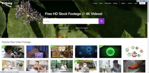 抖音最新爆料美女视频下载,揭秘热门短视频背后的魅力瞬间